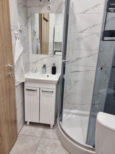 uma casa de banho com um chuveiro, um lavatório e um WC. em Apartment and rooms Corina em Bilje