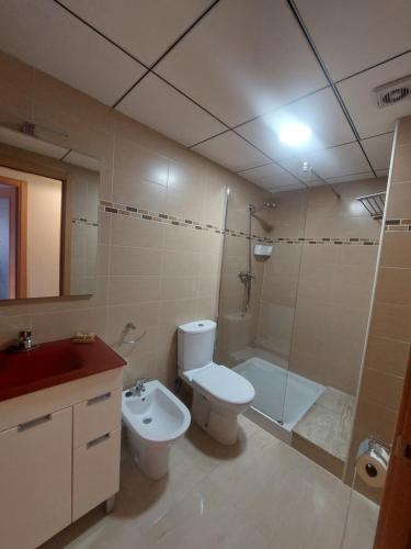 a bathroom with a toilet and a shower and a sink at Apartamento en Miami Platja - Tarragona in Miami Platja