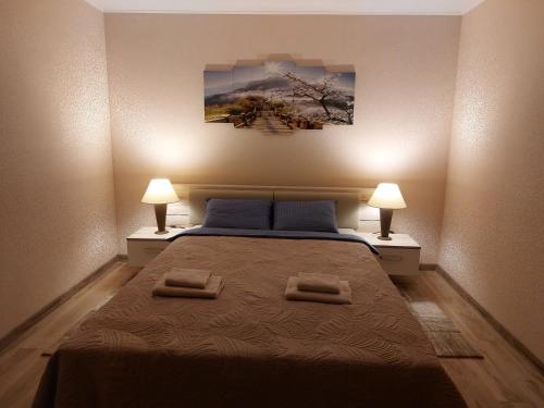 1 dormitorio con 1 cama grande y 2 lámparas en Patogus poilsis prie ežero/Comfortable rest, en Visaginas