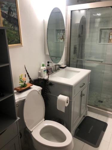 a bathroom with a toilet and a sink and a shower at Studio with private bath room in Chicago
