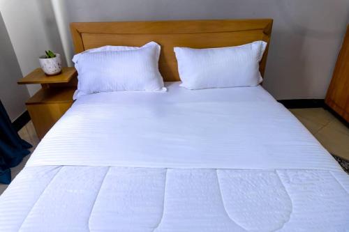 ein großes weißes Bett mit zwei Kissen darauf in der Unterkunft FARANT Homes in Kampala