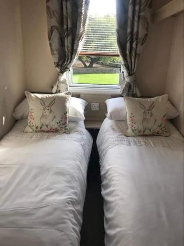 two beds in a small room with a window at 20 The Green in Jedburgh