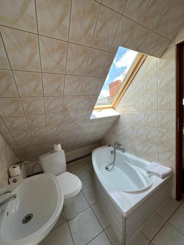 a bathroom with a toilet and a sink and a window at Mała Bawaria in Zakopane