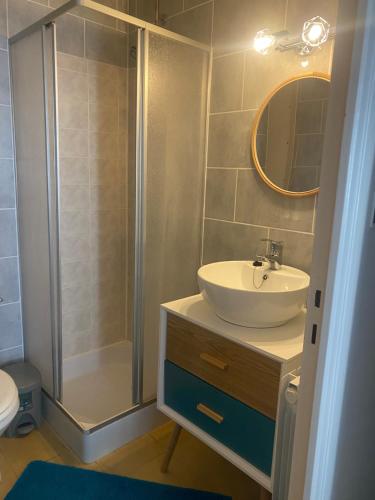 ein Badezimmer mit Waschbecken und Dusche in der Unterkunft Confortable et agréable T1 n•1 in Ussel
