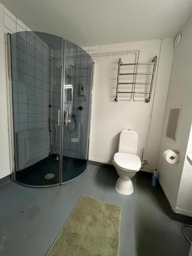 a bathroom with a toilet and a glass shower at APt 37 in Rovaniemi