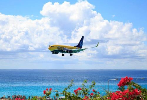 a yellow and blue plane flying over the ocean at Convenient Studio Apt Near Airport, Beaches & Food in Cupecoy
