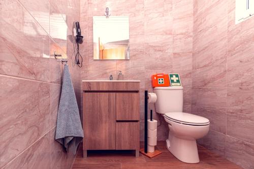 een badkamer met een toilet, een wastafel en een spiegel bij Moinho de Palma de NaturAlegre in Alegrete