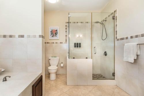 a bathroom with a shower and a toilet at Casa Cielo in Rincon