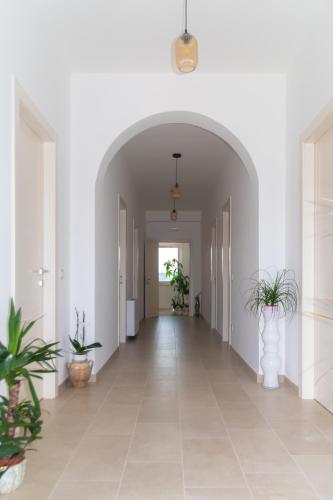 Φωτογραφία από το άλμπουμ του Biancolivo Country House σε Altavilla Silentina