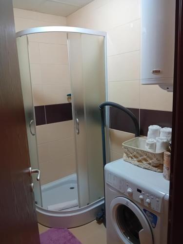 uma casa de banho com uma máquina de lavar roupa e uma máquina de lavar roupa. em Apartman,, Nina ,, em Jagodina
