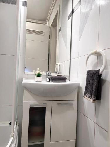 Apartment Sweet Dreams-close to ZOO,Dinamo stadium and the city center