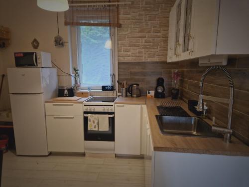 a kitchen with a white refrigerator and a sink at Mountain Home - Galyatető in Galyatető