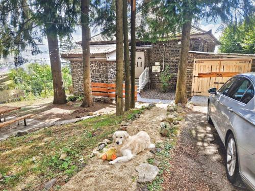 Mountain Home - Galyatető