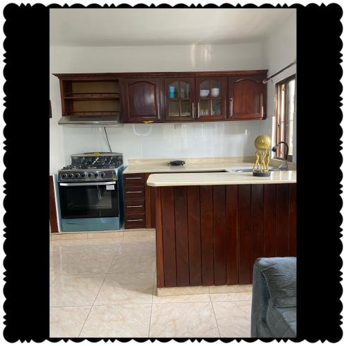 a kitchen with wooden cabinets and a stove at Apartment city center of puerto Plata in San Felipe de Puerto Plata