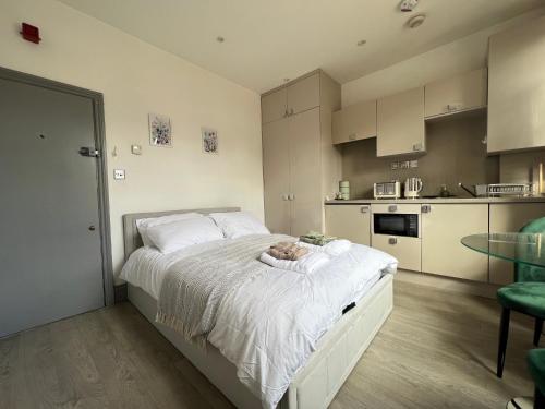 Kuchyň nebo kuchyňský kout v ubytování C41-Cozy studio flat in Finchley Central