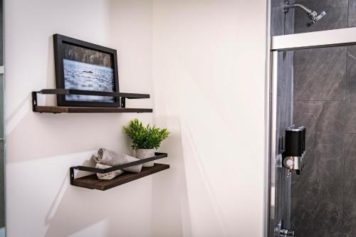 a bathroom with a tv on a wall with a shelf at The Three Bear Penthouse - with Hot Tub in Revelstoke