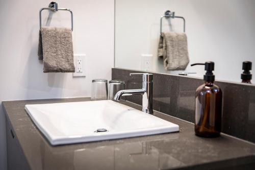 a bathroom with a sink and a bottle of soap at The Three Bear Penthouse - with Hot Tub in Revelstoke