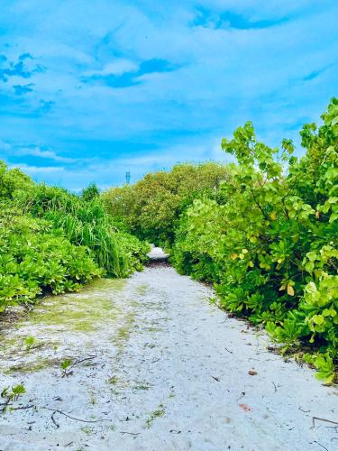 Paesaggio naturale nelle vicinanze dell'affittacamere