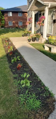 a house with a sidewalk and plants in the yard at Luxx Guest House in Milwaukee
