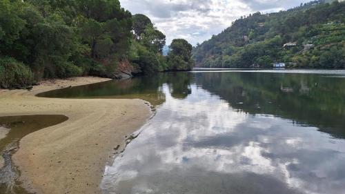 a body of water with trees and clouds in the water at Quinta da Ribeirinha - Douro River in Paços de Gaiolo