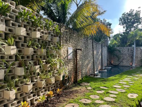 uma parede de retenção com vasos de plantas sobre ela em BAU Tulum em Tulum