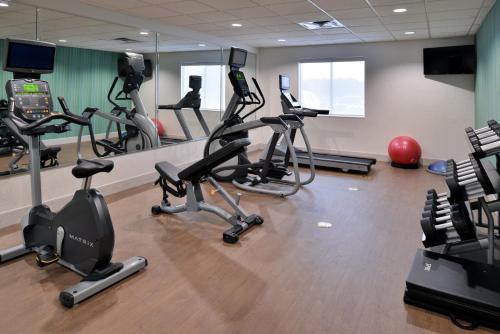 Γυμναστήριο ή/και όργανα γυμναστικής στο Holiday Inn Express Hotel & Suites Royse City - RockwallRockwall - Royse City by IHG