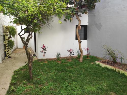 un patio con dos árboles y una pared blanca en Pousada Estrada de Ferro en Tiradentes