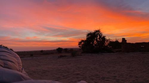 a sunset in the desert with a tree in the foreground at Mala Ki Dhani in Jaisalmer