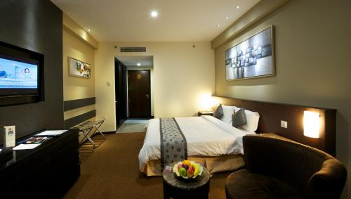 TV a/nebo společenská místnost v ubytování Hotel Royal