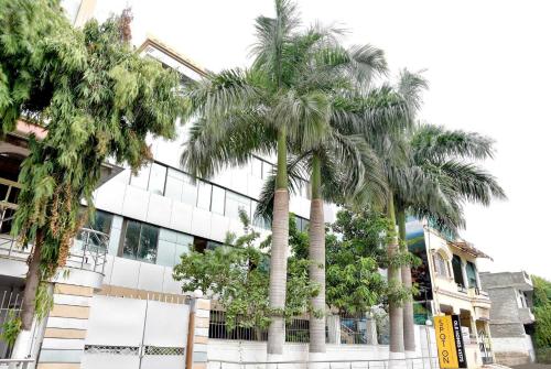 博帕爾的住宿－OYO Hotel Avani Palace，一群棕榈树在一座建筑前