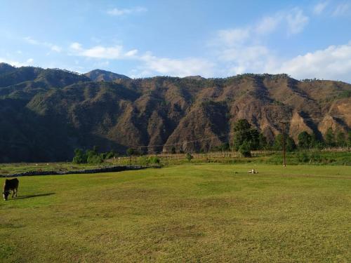 Gallery image of Yellow Valley Homestay in Solan
