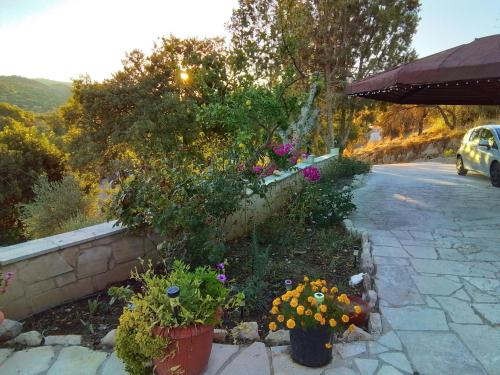 a garden with flowers in pots on the side of a road at Despina country retreat in Paphos City