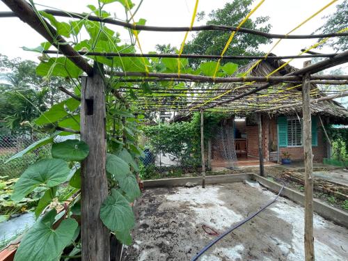 a garden with a pergola in front of a house at Vong Nguyet Homestay - Entire Bungalow 36m2 in Tây Ninh