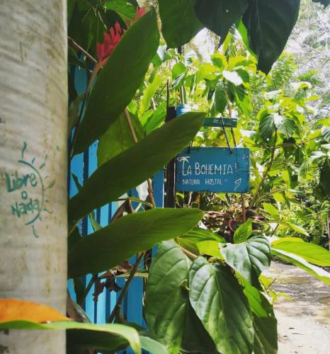 um sinal de rua azul em frente a algumas plantas em Hostal La Bohemia em Capurganá