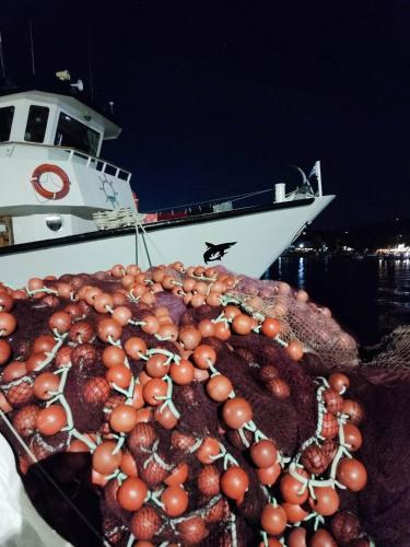 a boat with a bunch of food on it at Seagulls - Within walking distance from sea! in Petriaí