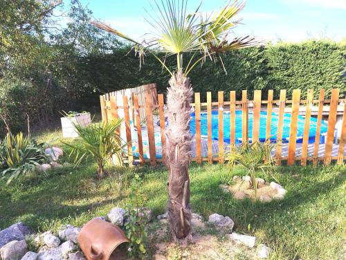 Zahrada ubytování Jacuzzi Balnéo piscine "La Palmeraie Oasis"