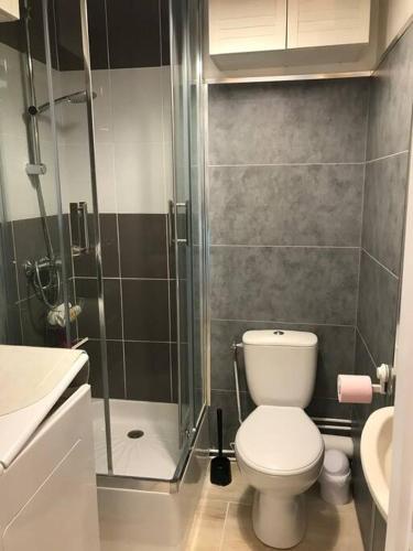 une salle de bain avec une douche, des toilettes et un lavabo dans l'établissement Cocon douillet 4 personnes à Deauville, 7min à pied de la plage, à Deauville