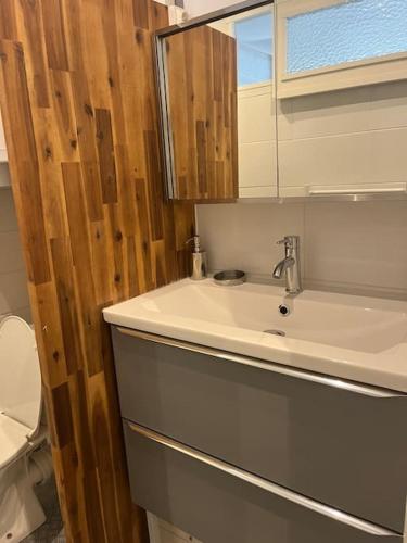 une salle de bain avec un lavabo et des toilettes dans l'établissement Studio hyper centre Pornichet, à Pornichet