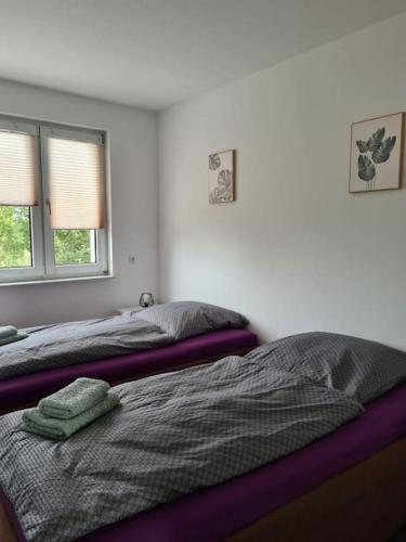 a bedroom with two beds and two windows at Gästewohnung KL. WZL 38_3 in Klein Wanzleben
