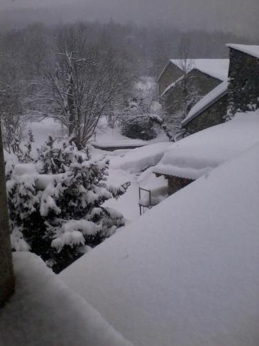 um quintal coberto de neve com um arbusto coberto de neve em La grange à Goulier em Goulier-et-Olbier