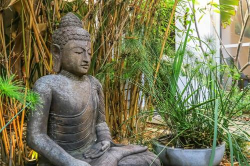 a statue of a buddha in a garden at Zen Garden Beach House Casuarina by uHoliday in Casuarina