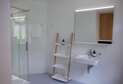 La salle de bains est pourvue d'une douche, d'un lavabo et d'un miroir. dans l'établissement FLÜHLI Hotel Kurhaus, à Flühli