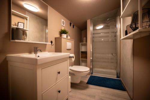 a bathroom with a sink and a toilet and a shower at Chalet de bosuil in Zutendaal