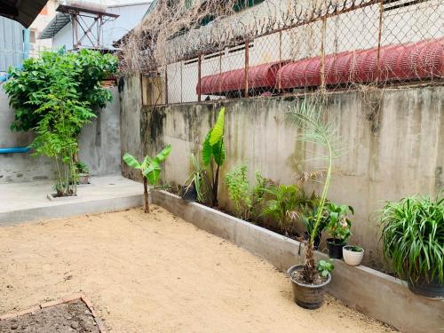 Villa Martial Arts Gym & Guesthouse في بنوم بنه: جدار اسمنتي مع النباتات في الفناء