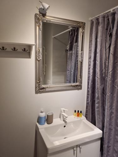 a bathroom with a white sink and a mirror at Lovely 1-bedroom condo in Riga