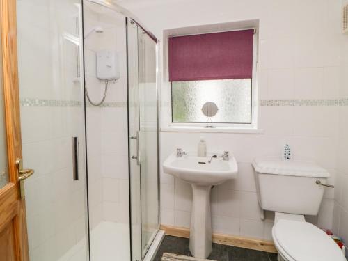 a bathroom with a toilet and a sink and a shower at Little Claremont in Yelverton