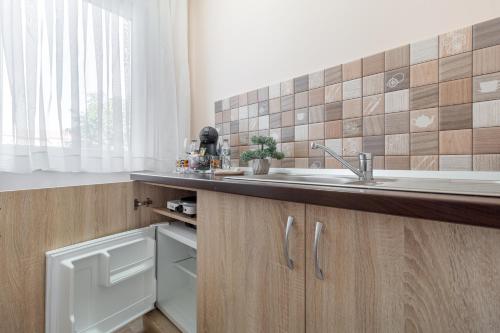 a kitchen with a sink and a counter at Venezia Studio 2 in Oradea