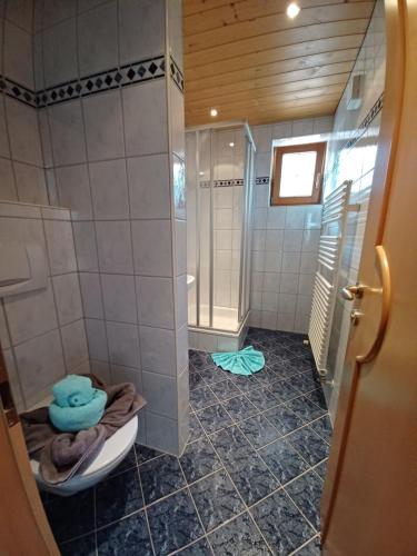 ザンクト・アントン・アム・アールベルクにあるGsörhofのバスルーム(シャワー、トイレ付)