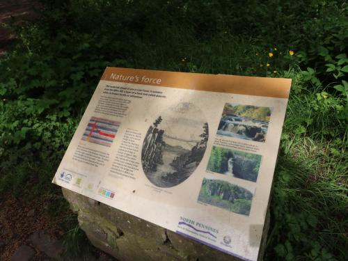 a sign sitting on top of a rock in the grass at Chapel Cottage in Barnard Castle