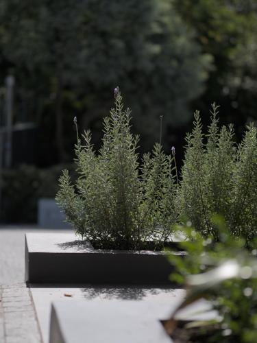 Κήπος έξω από το Arbour1 Guesthouse